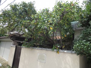 2014-09-01 10.35.26