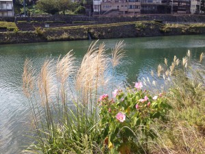 写真2