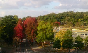 DSC_2533 - コピー