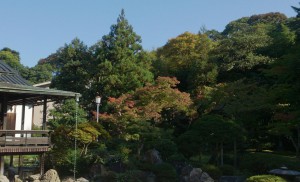 DSC_2537 - コピー