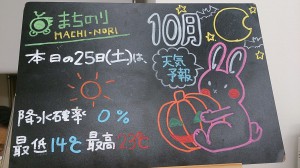 DSC_2550 (2)