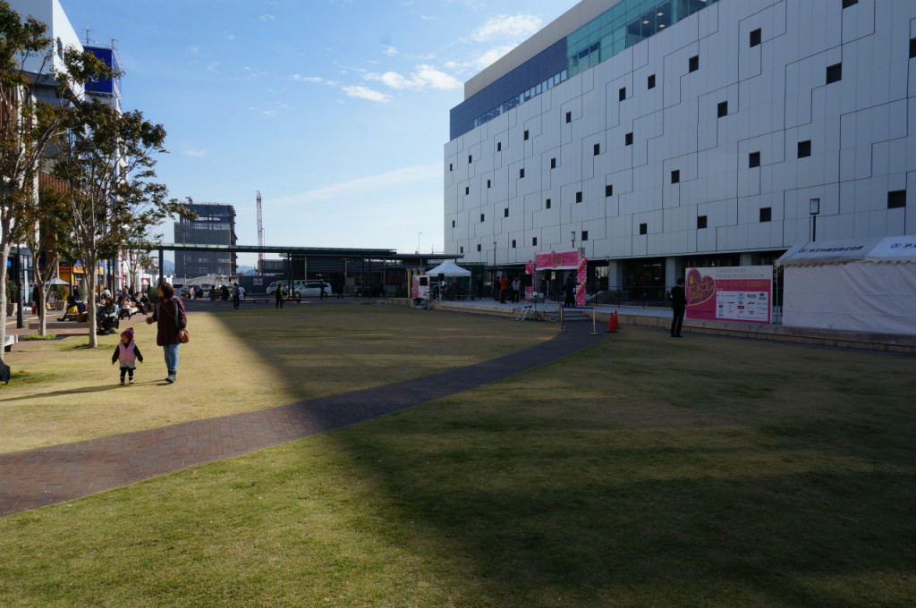 DSC08253