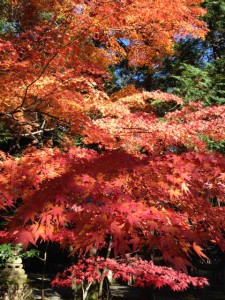 写真 3