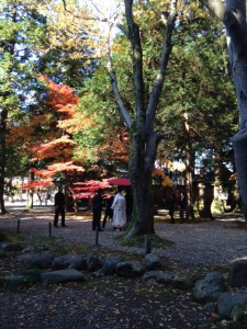 写真 5a