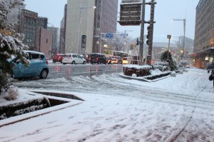IMG_3017 (800x533)