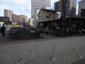 IMG_1988