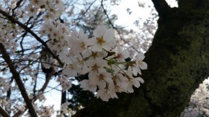 20150409_080454