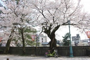 IMG_3254 (1280x853)