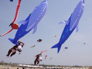 凧の祭典