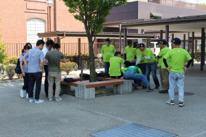 IMG_3492 (1024x683)