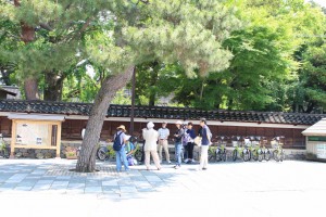 IMG_3604 (1024x683)