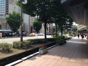 IMG_6565
