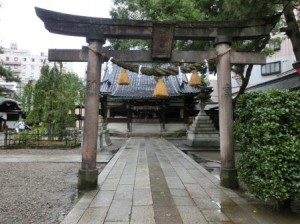 CIMG0303