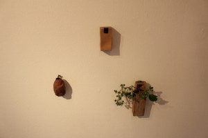 IMG_4088 (640x427)