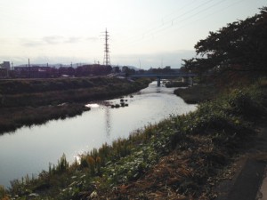 IMG_6875のコピー