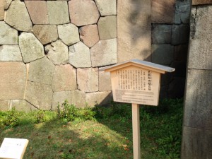 IMG_6886