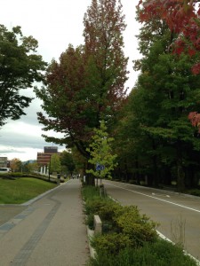 sIMG_6841
