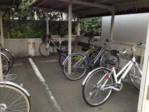 IMG_6869