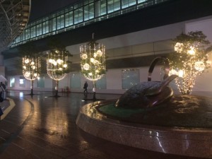 IMG_8175