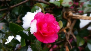 2016012115422900
