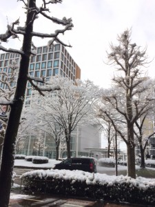 securedownload雪