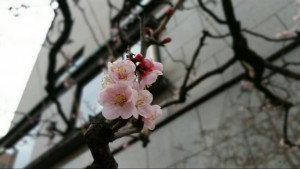 2016030315345600