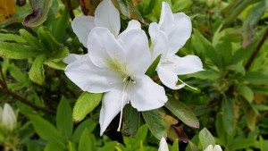 20160424_115755