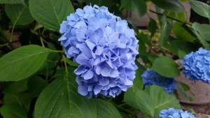 20160616_092752