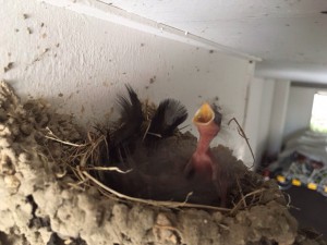 IMG_3163