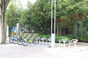 s-IMG_4838