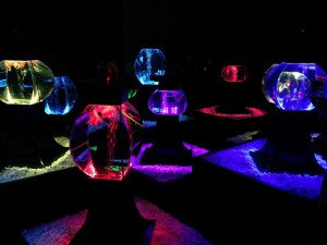IMG_3372