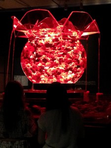 IMG_3382