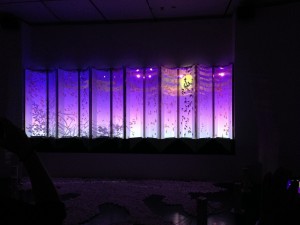 IMG_3389