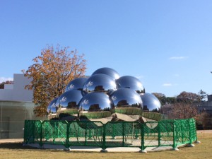 IMG_0887