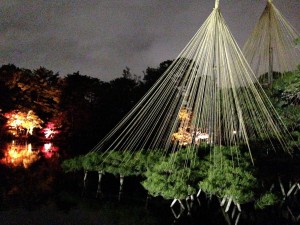 IMG_3578