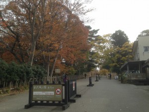 s-IMG_7982