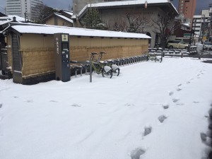IMG_7958