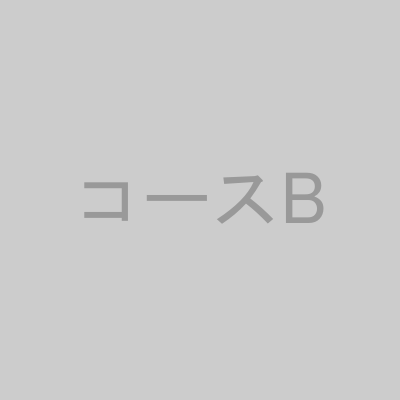 コースBの画像
